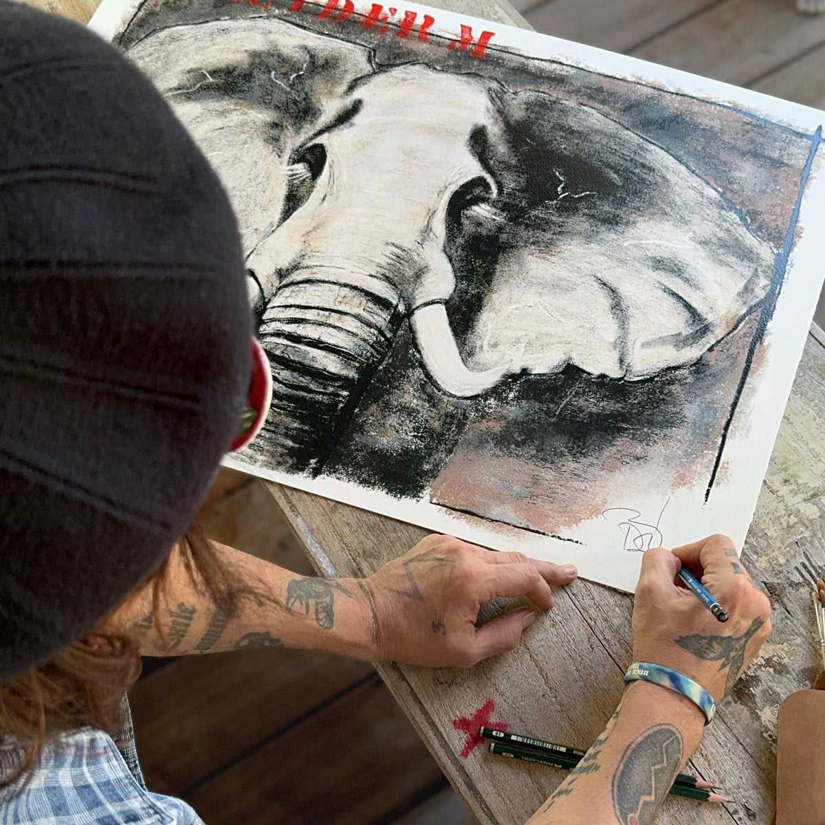 Johnny Depp Unveils “Paciderm” in Collaboration with Deyrolle